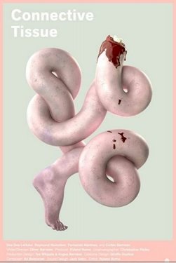 Connective Tissue Connective Tissue