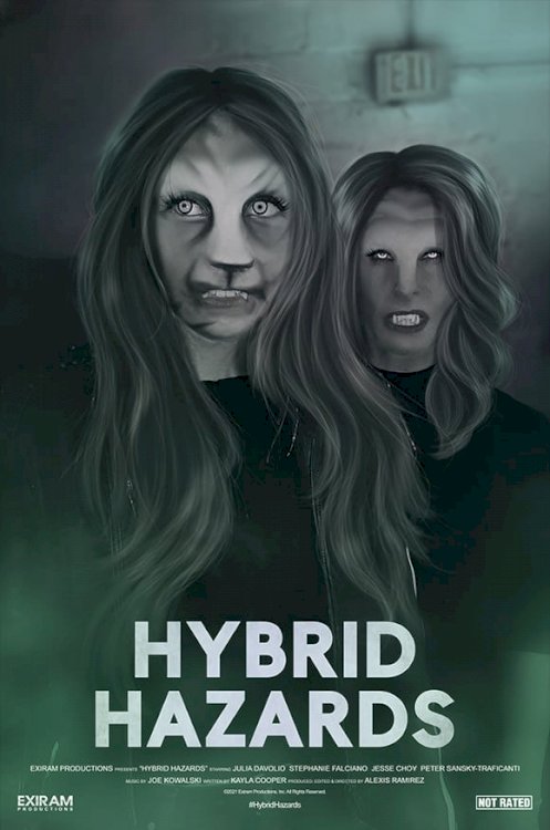 Hybrid Hazards Hybrid Hazards