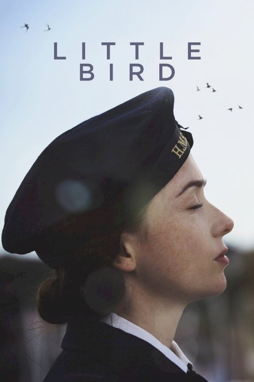 Little Bird Little Bird