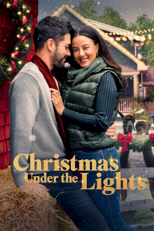 Christmas Under the Lights Christmas Under the Lights