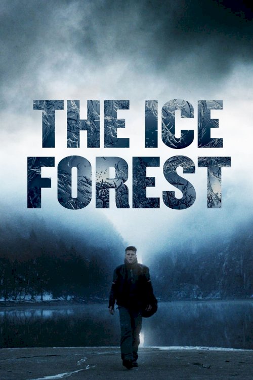 The Ice Forest The Ice Forest