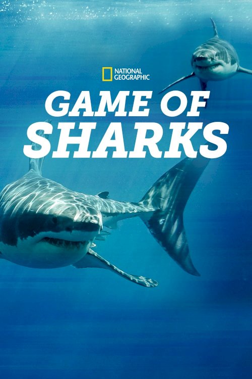 Game of Sharks Game of Sharks