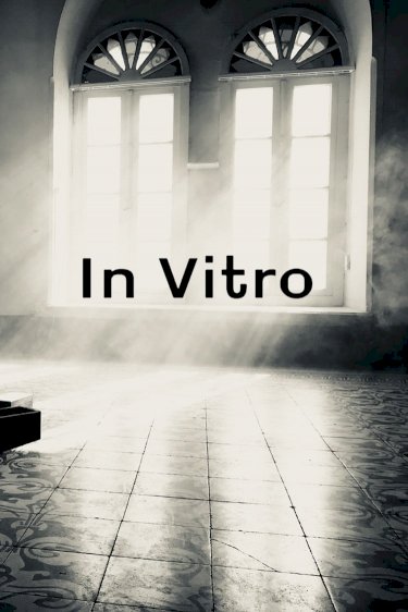 In Vitro In Vitro