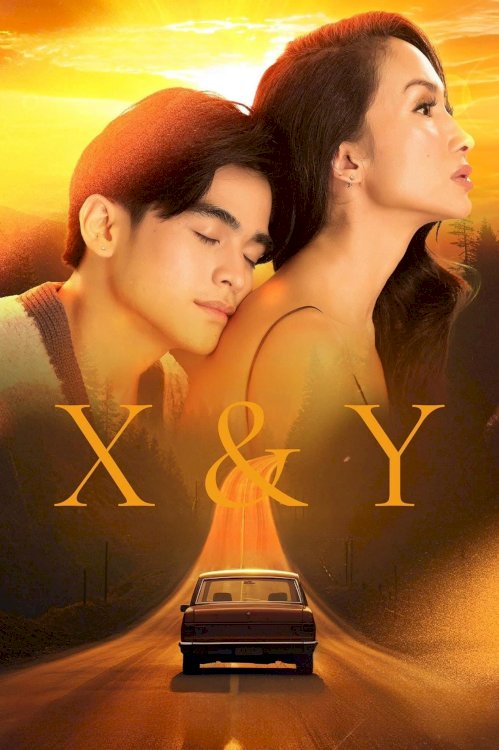 X&Y X&Y