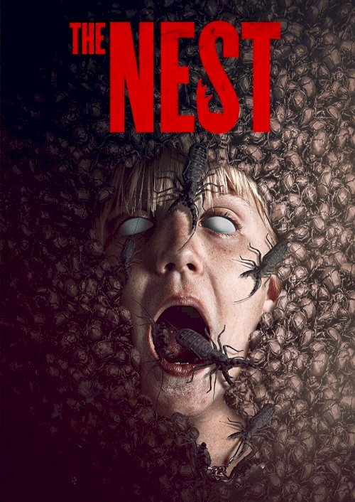 The Nest The Nest