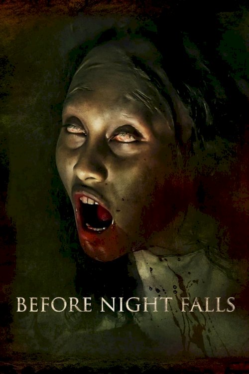 Before Night Falls Before Night Falls