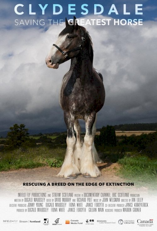 Clydesdale: Saving the Greatest Horse Clydesdale: Saving the Greatest Horse