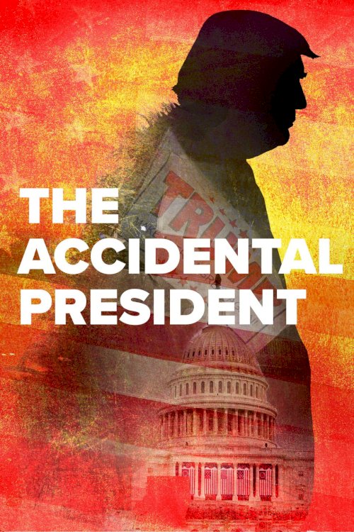 The Accidental President The Accidental President