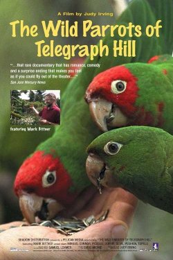 The Wild Parrots of Telegraph Hill The Wild Parrots of Telegraph Hill