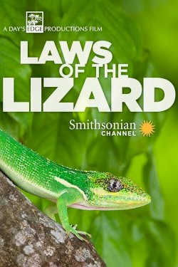 Laws of the Lizard Laws of the Lizard
