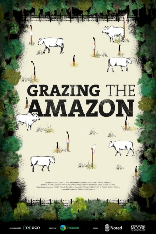 Grazing the Amazon Grazing the Amazon