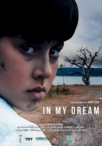 In My Dream In My Dream
