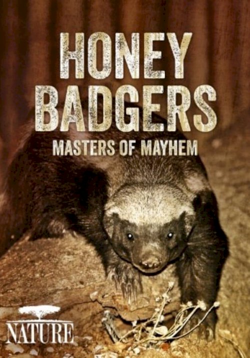 Honey Badgers: Masters of Mayhem Honey Badgers: Masters of Mayhem