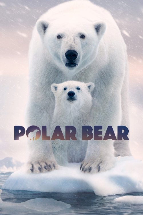 Polar Bear Polar Bear