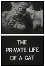 The Private Life of a Cat The Private Life of a Cat
