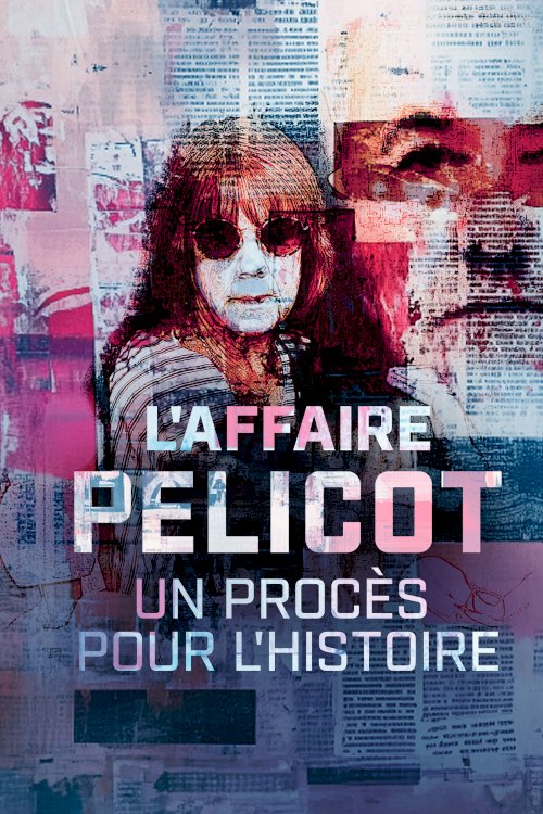 The Pelicot Rape Case The Pelicot Rape Case