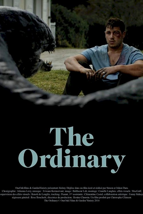 The Ordinary The Ordinary