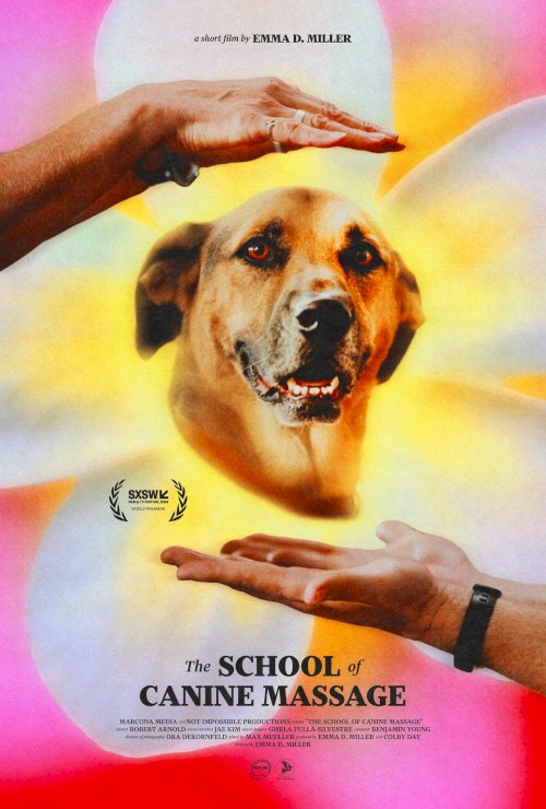 The School of Canine Massage The School of Canine Massage