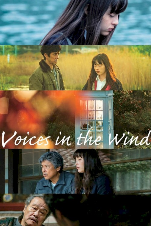Voices in the Wind Voices in the Wind