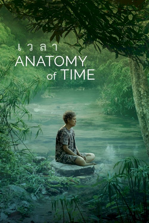 Anatomy of Time
