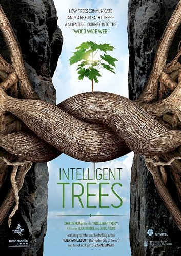 Intelligent Trees Intelligent Trees
