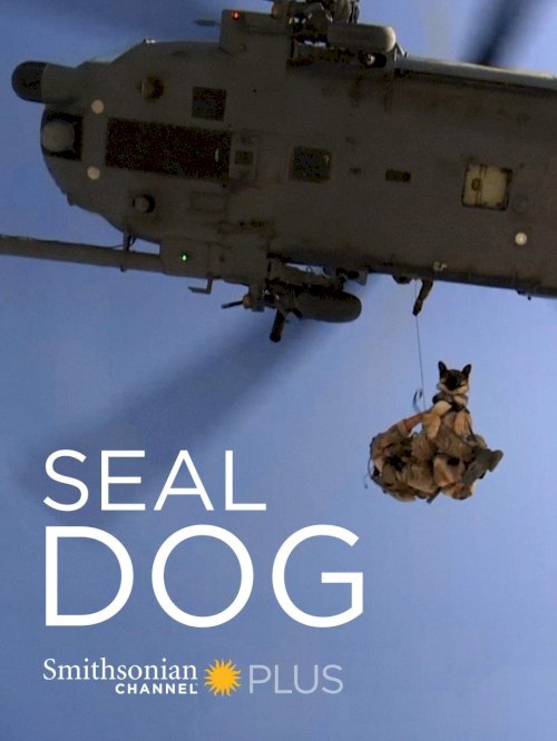 SEAL Dog SEAL Dog