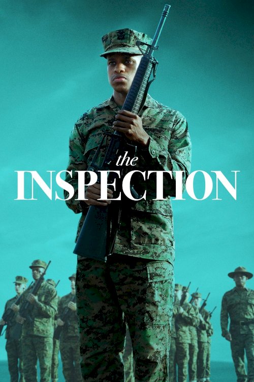 The Inspection The Inspection