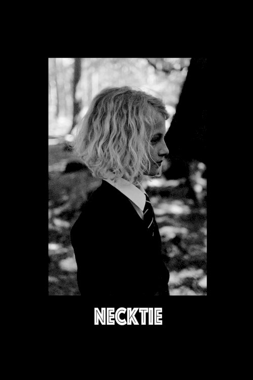 Necktie Necktie