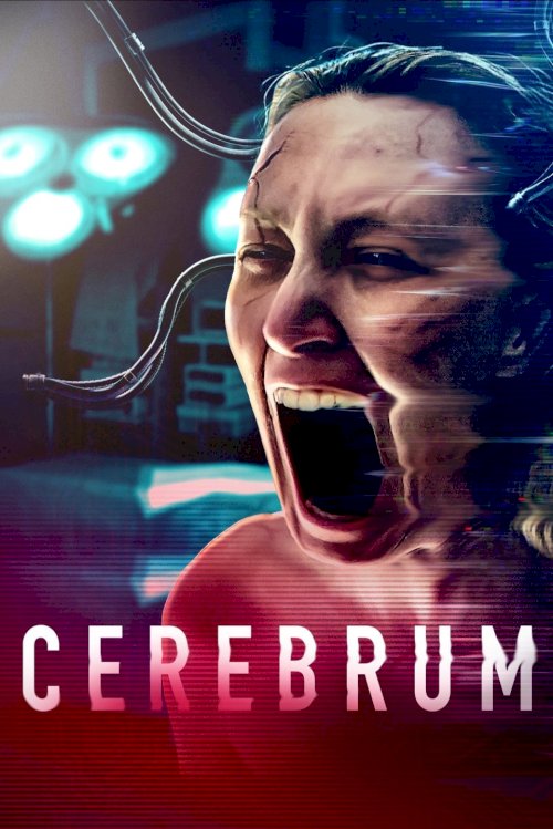 Cerebrum Cerebrum