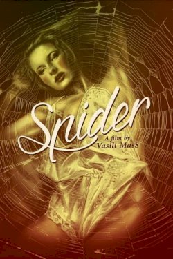 Spider Spider