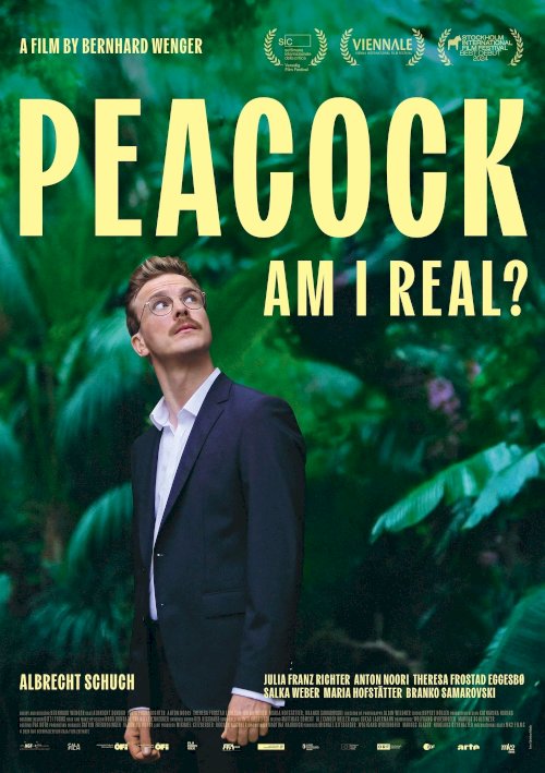 Peacock Peacock