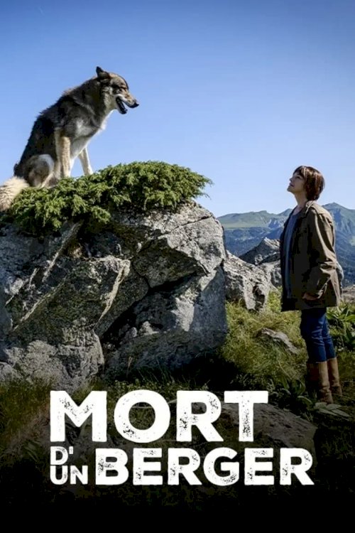 Mort d'un berger Mort d'un berger