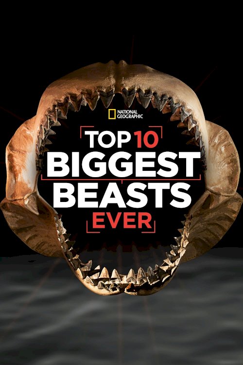 Top 10 Biggest Beasts Ever Top 10 Biggest Beasts Ever