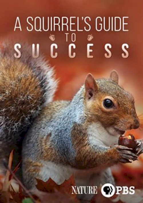 A Squirrel's Guide to Success A Squirrel's Guide to Success