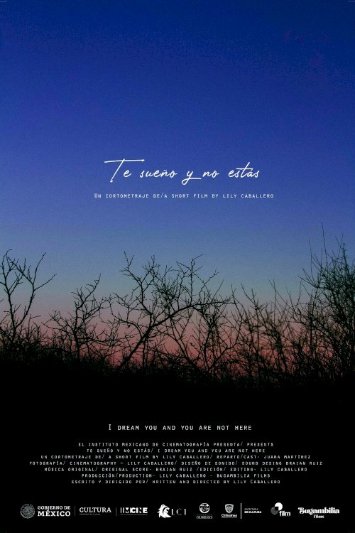 I dream you and you are not here I dream you and you are not here