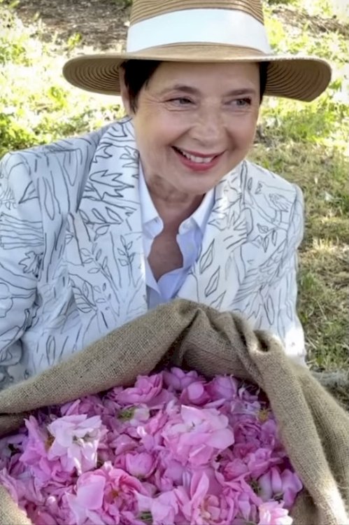 A Season with Isabella Rossellini A Season with Isabella Rossellini