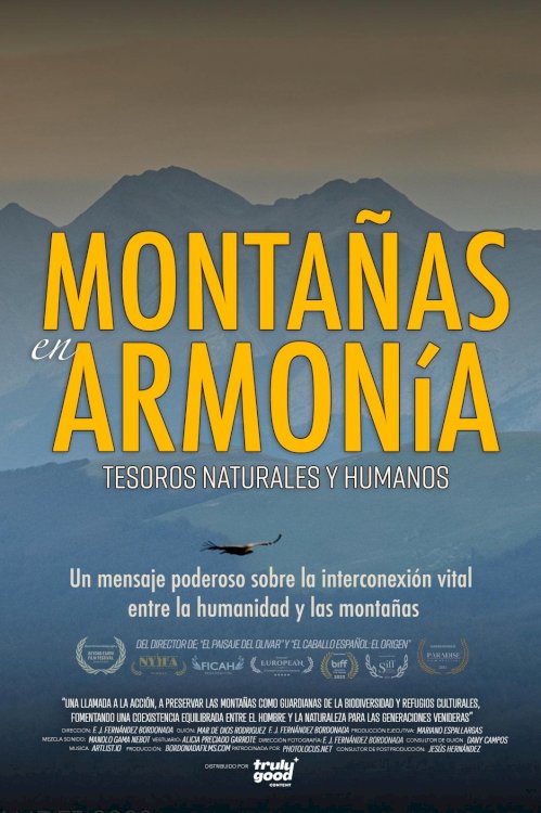 Montañas en Armonía Montañas en Armonía