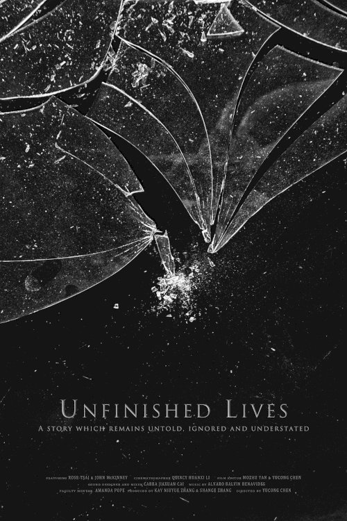 Unfinished Lives Unfinished Lives