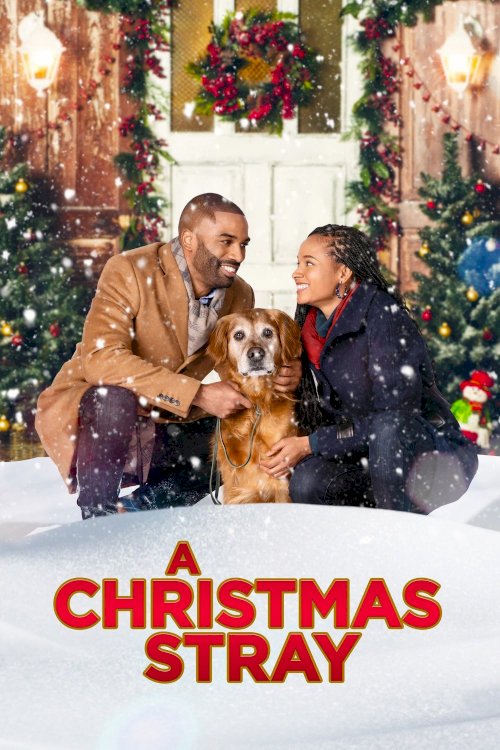 A Christmas Stray A Christmas Stray