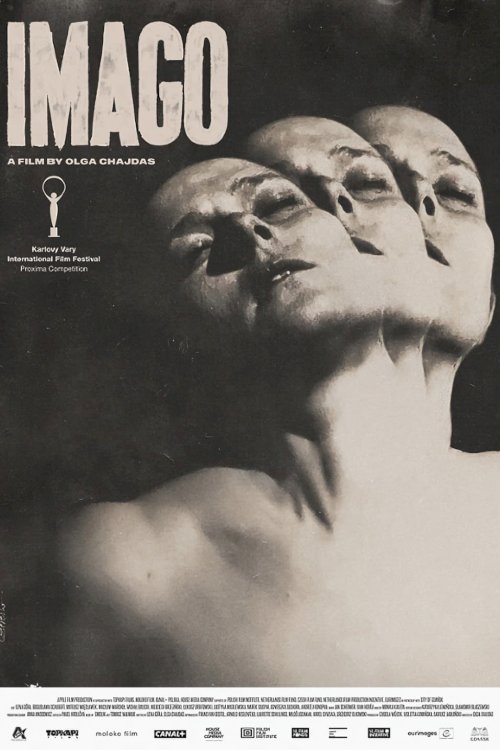 Imago Imago