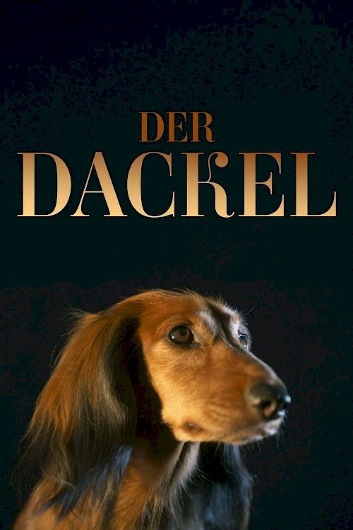 Der Dackel Der Dackel