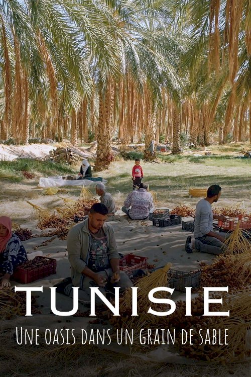 Tunisie : Une oasis dans un grain de sable Tunisie : Une oasis dans un grain de sable