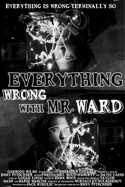 Everything Wrong with Mr. Ward