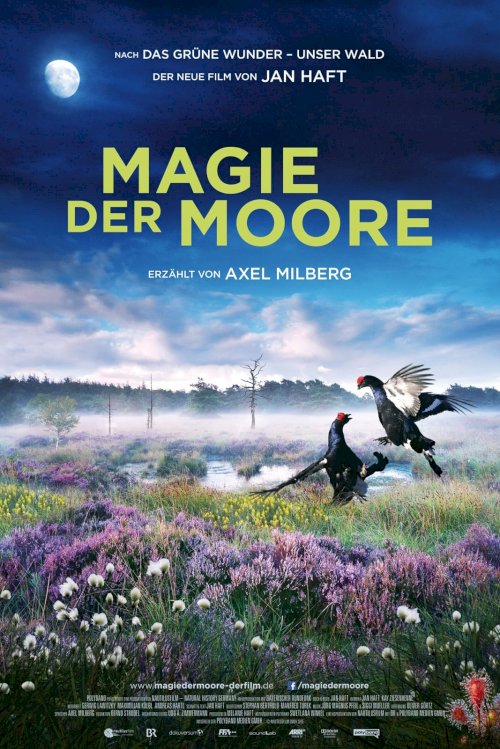 Magie der Moore Magie der Moore