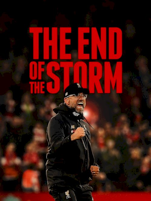The End of the Storm The End of the Storm