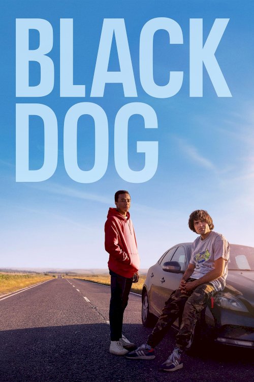 Black Dog Black Dog