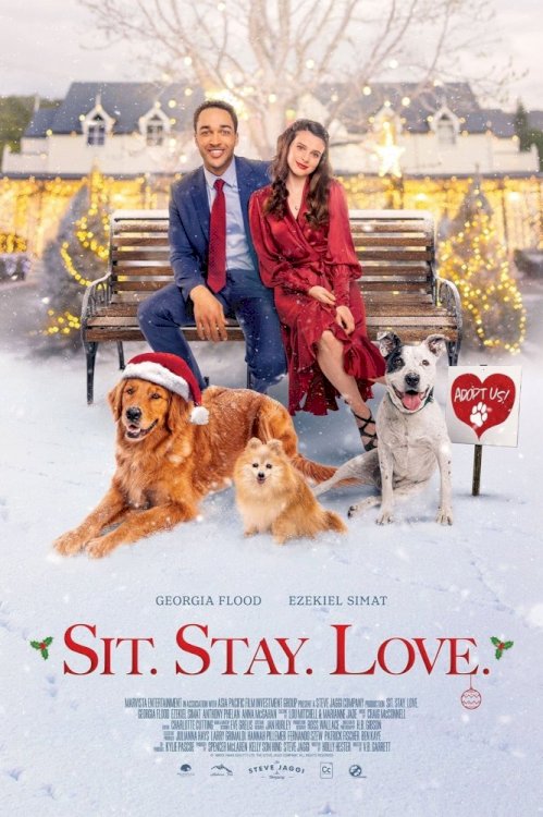The Dog Days of Christmas The Dog Days of Christmas