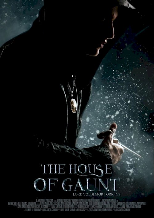 The House of Gaunt The House of Gaunt