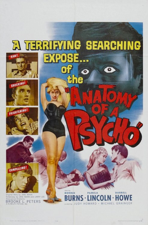 Anatomy of a Psycho Anatomy of a Psycho