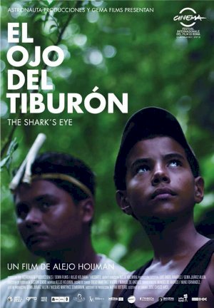 The Shark's Eye The Shark's Eye